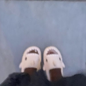 Meet your Posher, Toni